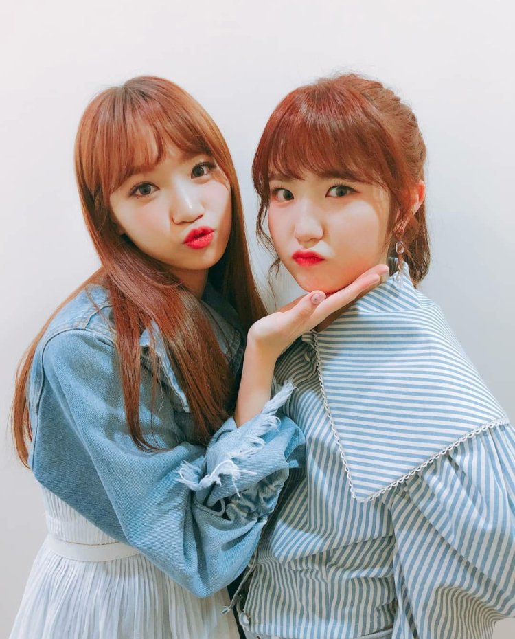 f:id:miyazakimiho:20190524173603j:plain f:id:miyazakimiho:20190524173603j:plain