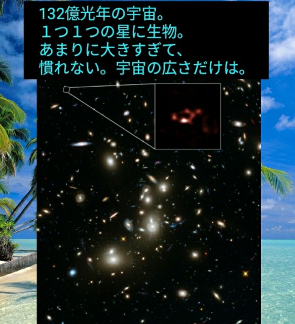 f:id:miyazawatomohide:20200604090349j:image