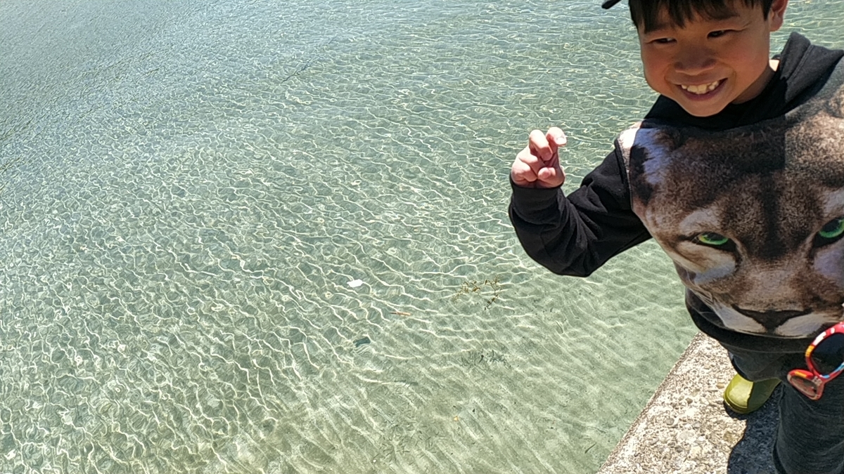 f:id:miyazo2018:20190505224158j:plain