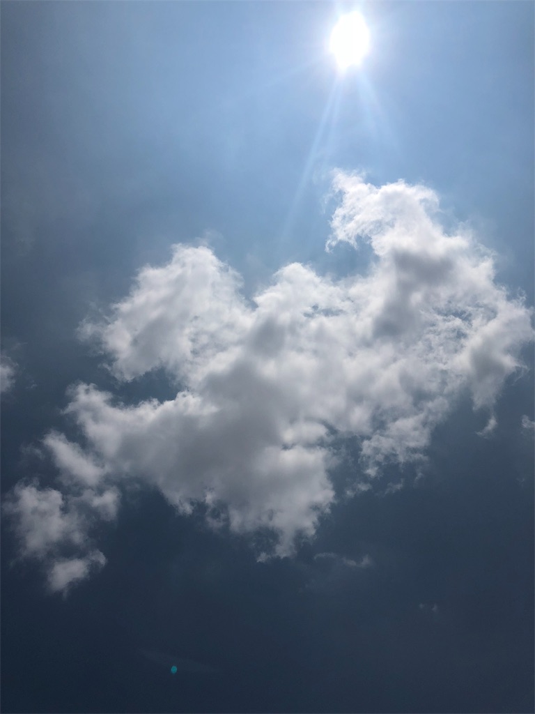 f:id:miyazono-9ran:20190622123102j:image f:id:miyazono-9ran:20190622123102j:image
