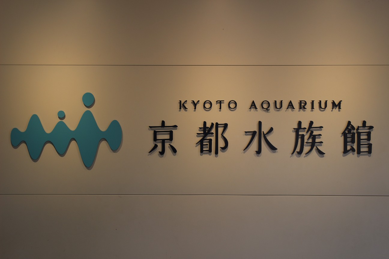 京都水族館 に行ってみた In京都 みたのブログ