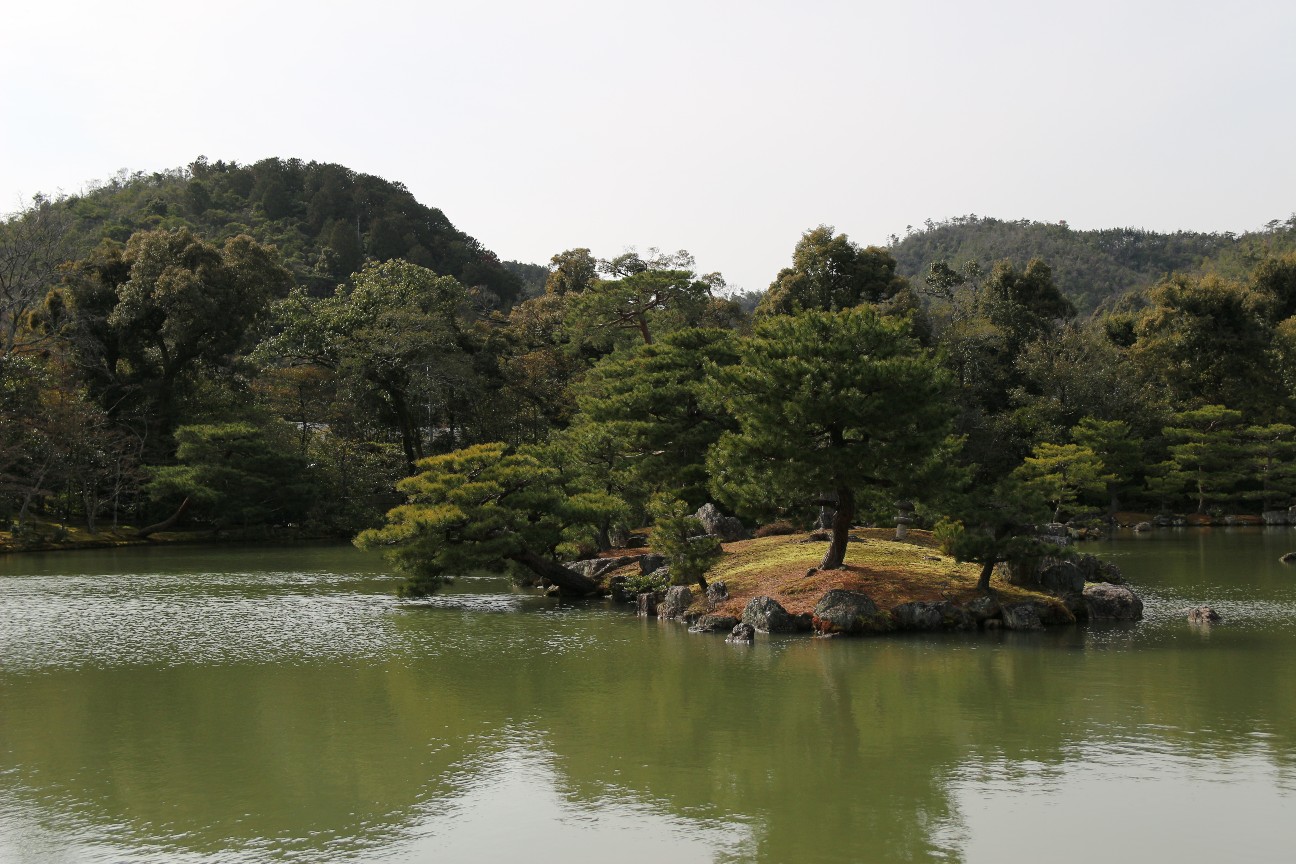 f:id:miyocypher:20200505095020j:image