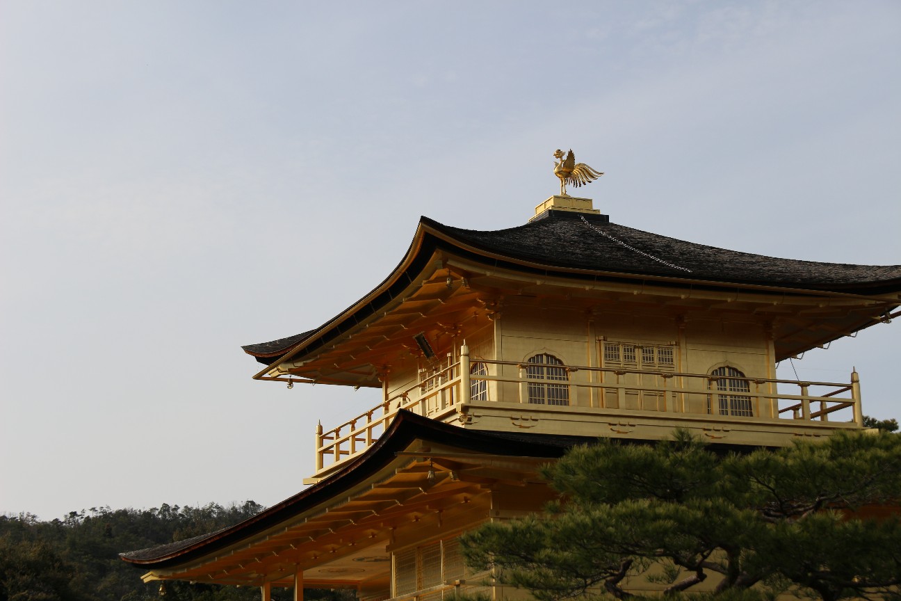 f:id:miyocypher:20200505095102j:image
