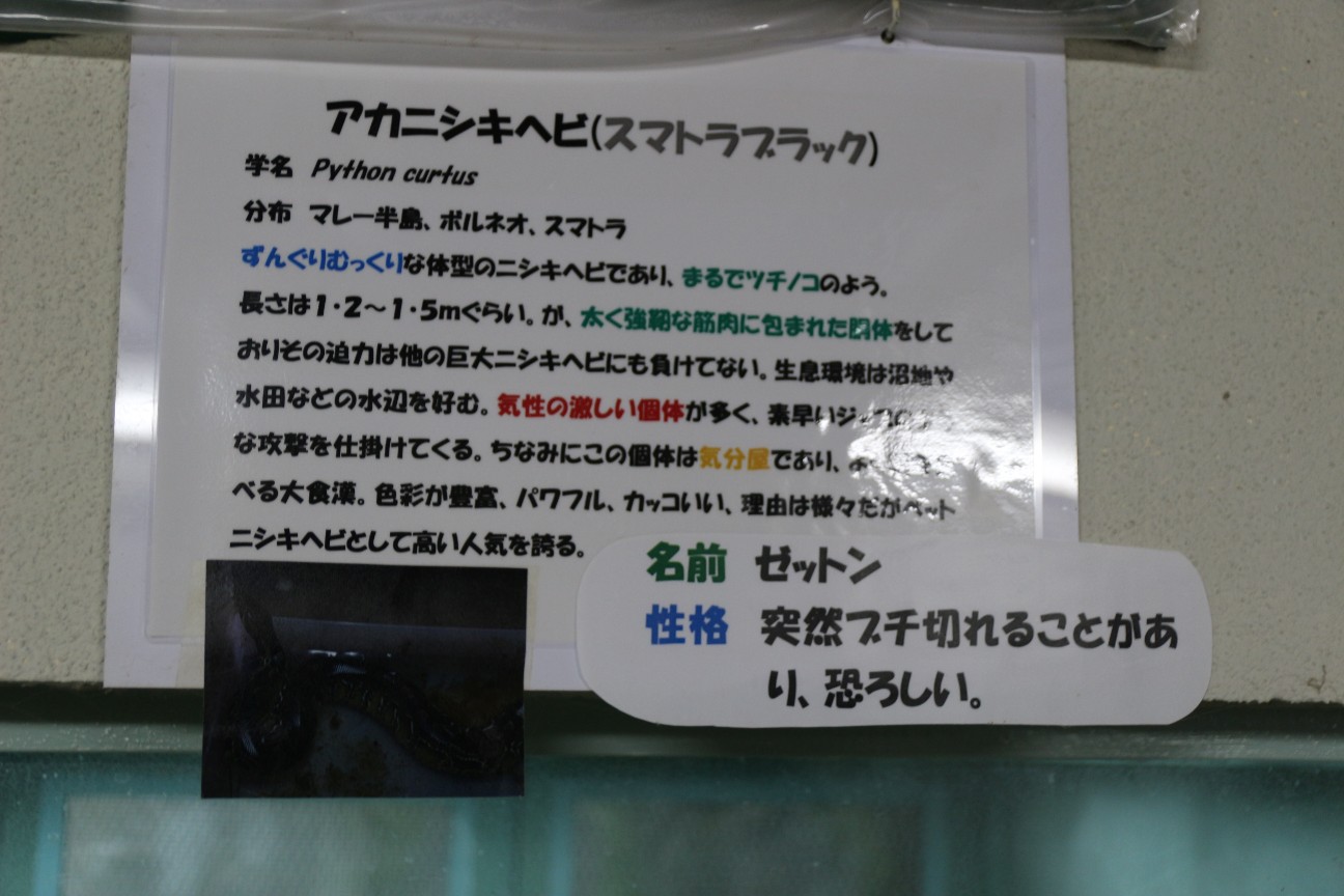 f:id:miyocypher:20200510233656j:image f:id:miyocypher:20200510233656j:image