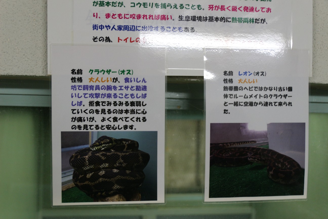 f:id:miyocypher:20200510233816j:image f:id:miyocypher:20200510233816j:image