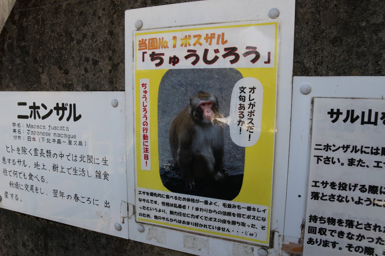 f:id:miyocypher:20200510233905j:image f:id:miyocypher:20200510233905j:image
