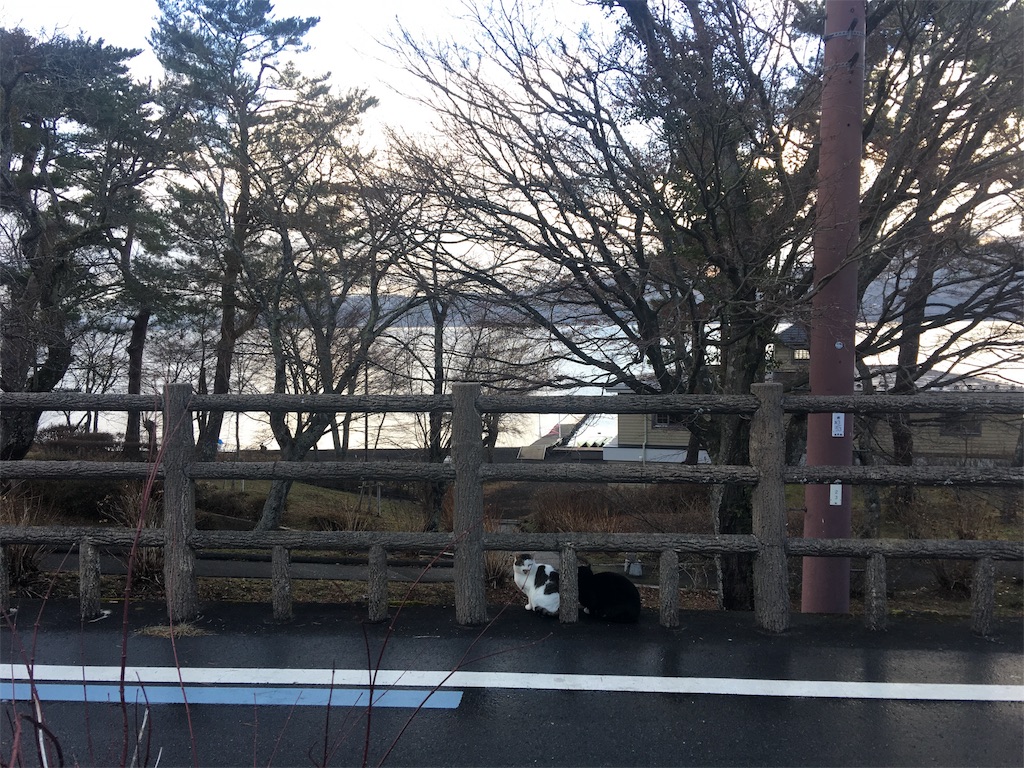 f:id:miyomiyopp:20181222151739j:image f:id:miyomiyopp:20181222151739j:image