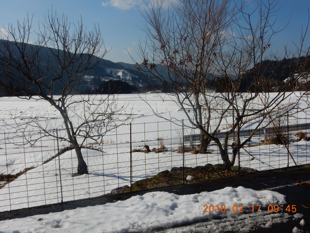 f:id:miyoshi_s:20180217094538j:plain f:id:miyoshi_s:20180217094538j:plain