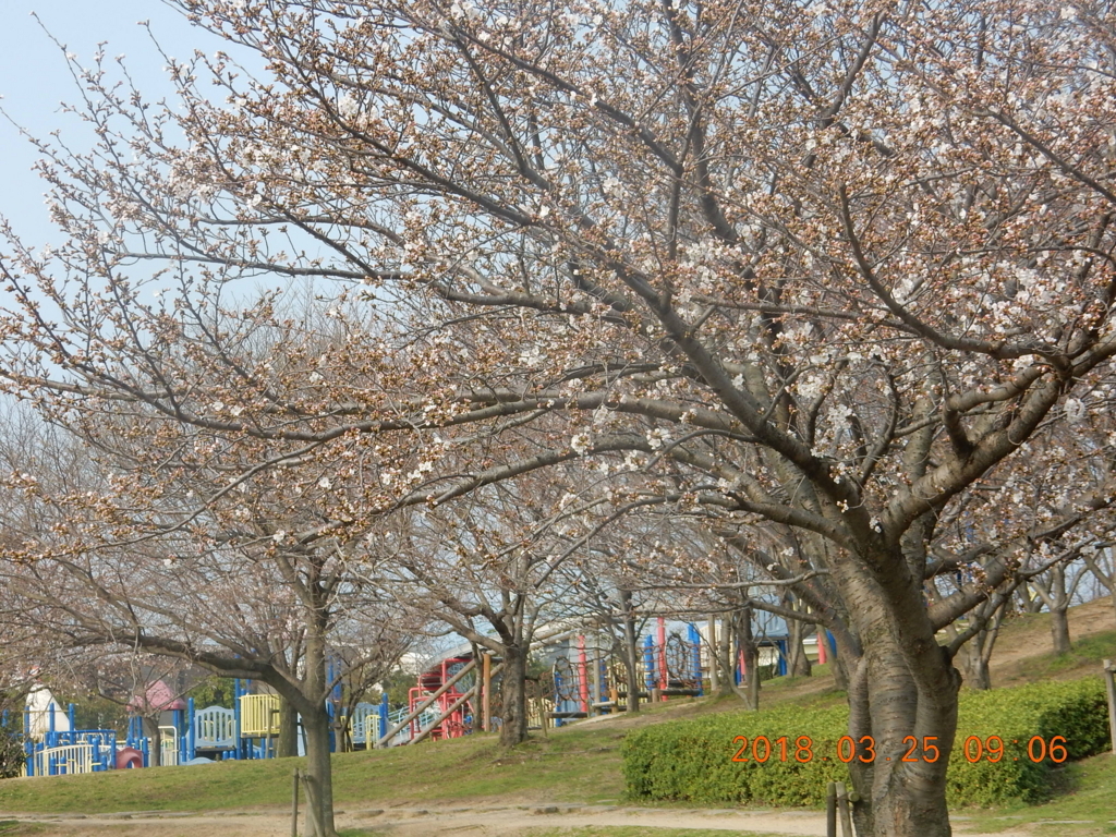 f:id:miyoshi_s:20180325090632j:plain f:id:miyoshi_s:20180325090632j:plain