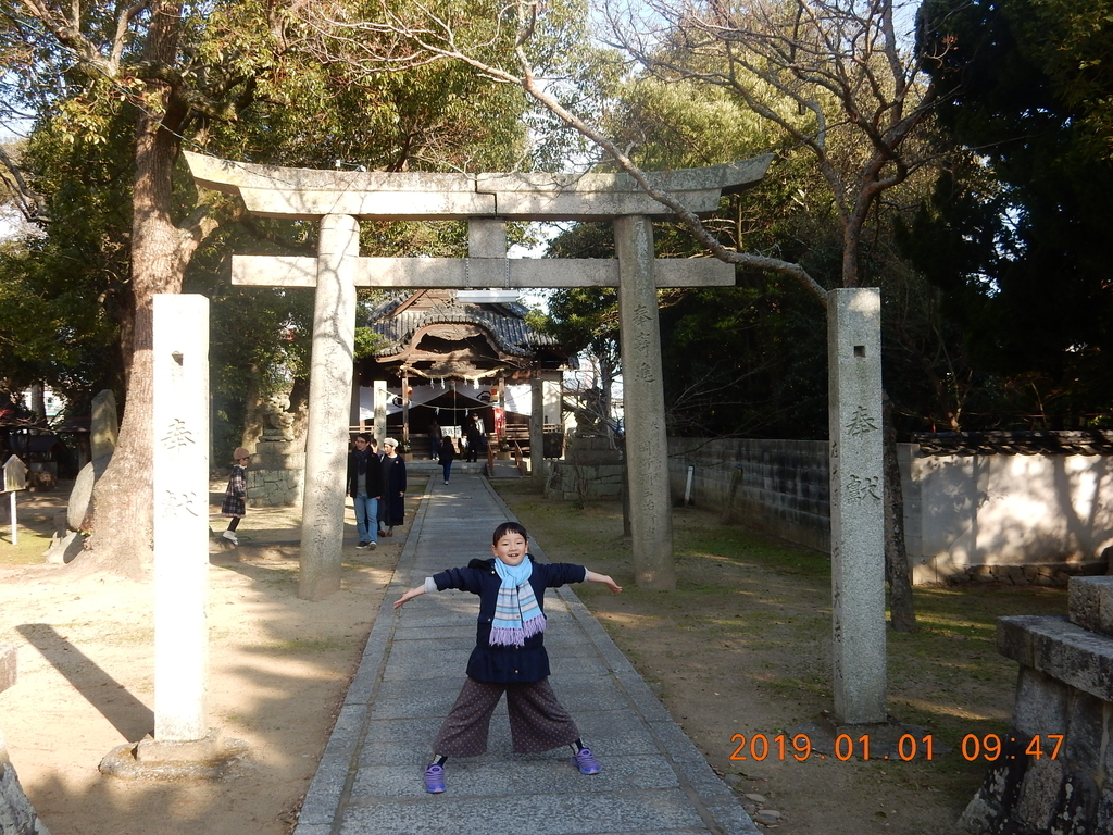 f:id:miyoshi_s:20190101094750j:plain f:id:miyoshi_s:20190101094750j:plain