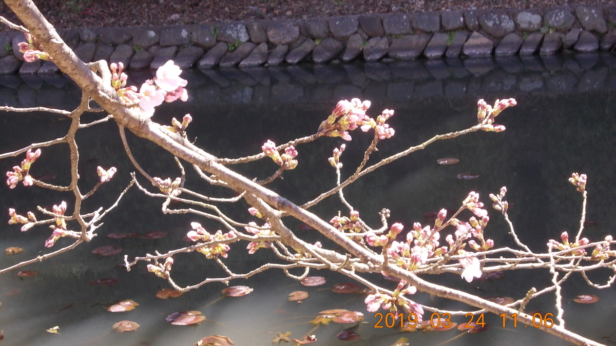 f:id:miyoshi_s:20190324110605j:plain f:id:miyoshi_s:20190324110605j:plain