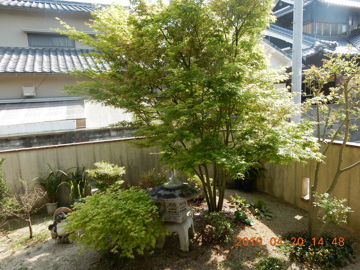 f:id:miyoshi_s:20190420144809j:plain f:id:miyoshi_s:20190420144809j:plain