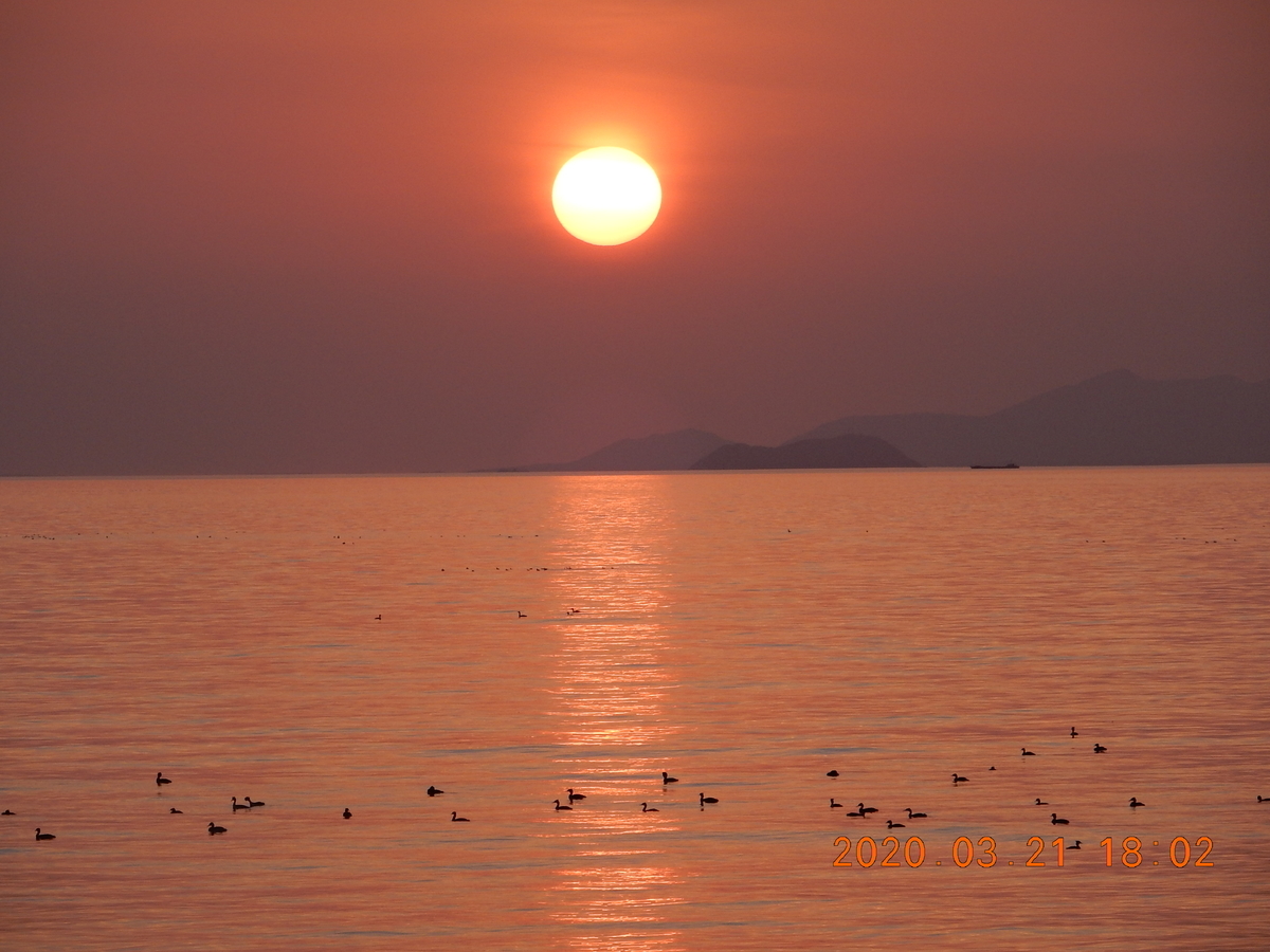 f:id:miyoshi_s:20200321180239j:plain f:id:miyoshi_s:20200321180239j:plain