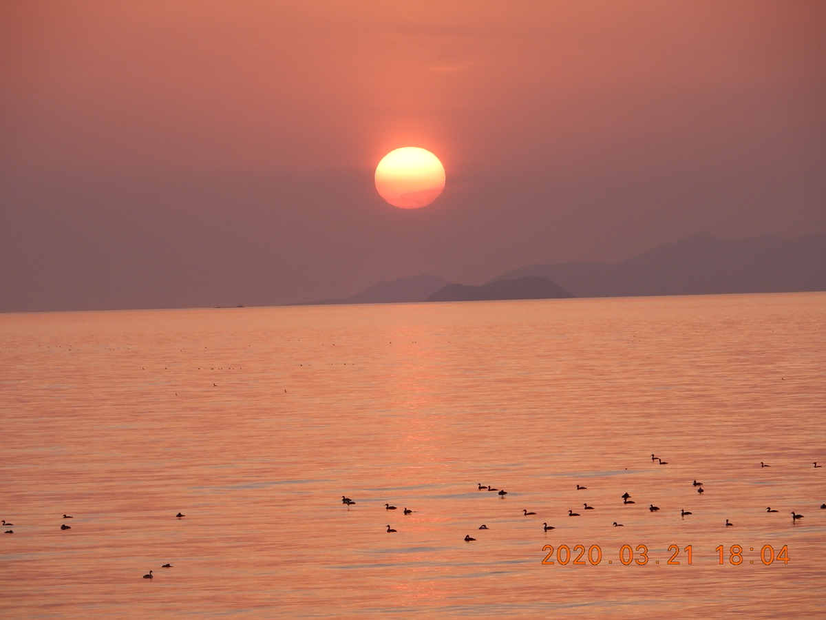 f:id:miyoshi_s:20200321180454j:plain f:id:miyoshi_s:20200321180454j:plain