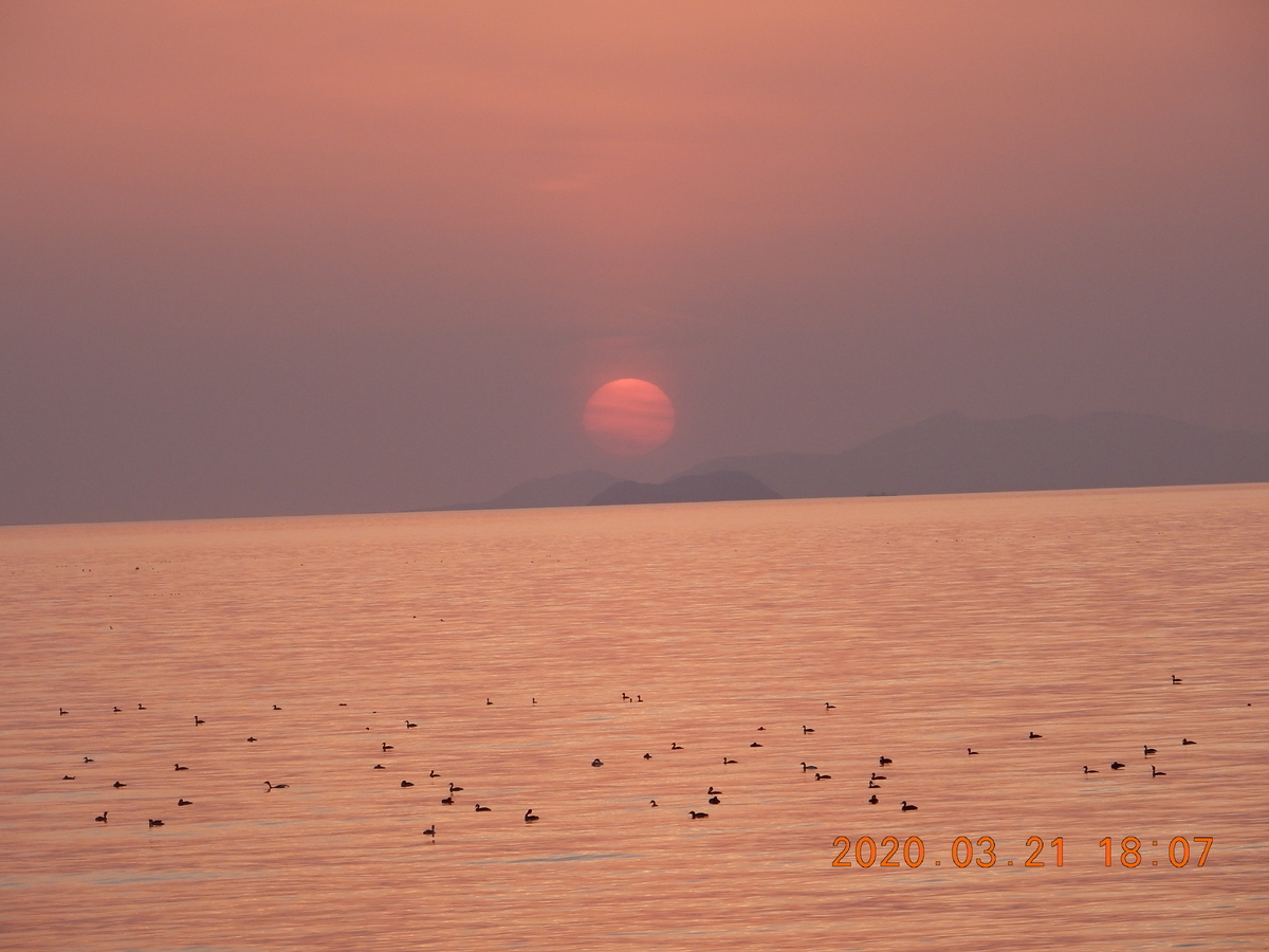 f:id:miyoshi_s:20200321180720j:plain f:id:miyoshi_s:20200321180720j:plain