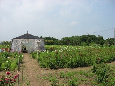 f:id:miyotya:20100704133636j:image f:id:miyotya:20100704133636j:image
