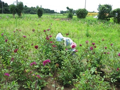f:id:miyotya:20100716094144j:image f:id:miyotya:20100716094144j:image