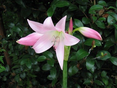 f:id:miyotya:20100716130428j:image f:id:miyotya:20100716130428j:image