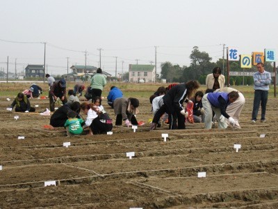 f:id:miyotya:20101113105619j:image f:id:miyotya:20101113105619j:image