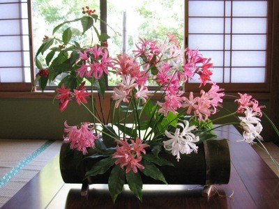 f:id:miyotya:20101204123251j:image f:id:miyotya:20101204123251j:image