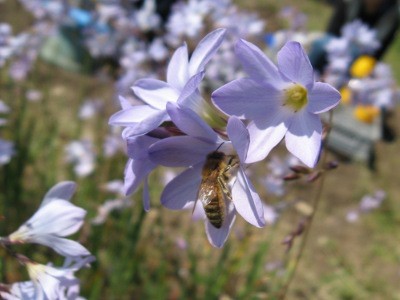 f:id:miyotya:20110406104625j:image