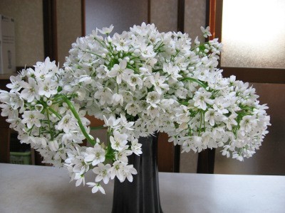 f:id:miyotya:20110406171746j:image