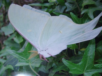 f:id:miyotya:20110406195514j:image