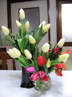 f:id:miyotya:20110418173049j:image