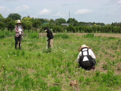 f:id:miyotya:20110522100404j:image f:id:miyotya:20110522100404j:image