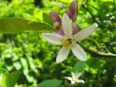 f:id:miyotya:20110604095636j:image