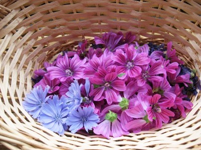 f:id:miyotya:20110618102340j:image f:id:miyotya:20110618102340j:image