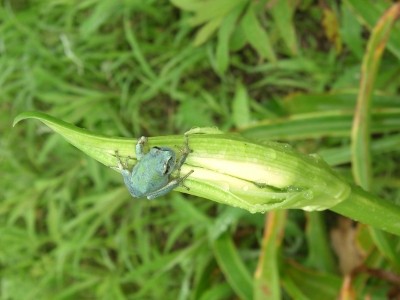 f:id:miyotya:20110623092858j:image f:id:miyotya:20110623092858j:image