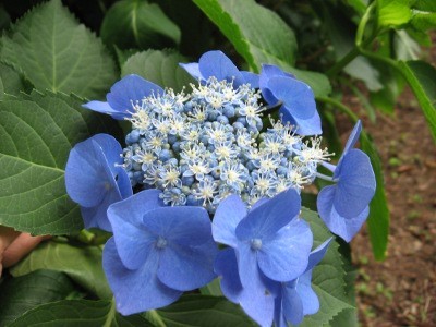f:id:miyotya:20110625113559j:image f:id:miyotya:20110625113559j:image