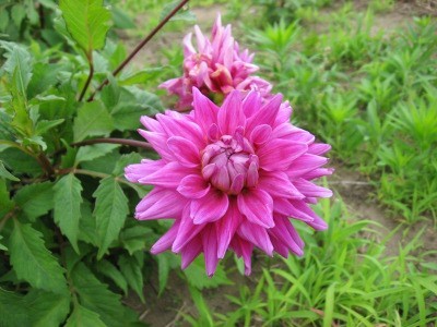 f:id:miyotya:20110625114729j:image f:id:miyotya:20110625114729j:image