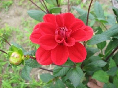 f:id:miyotya:20110625114756j:image f:id:miyotya:20110625114756j:image