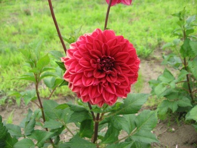 f:id:miyotya:20110625115103j:image f:id:miyotya:20110625115103j:image