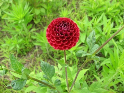 f:id:miyotya:20110625115228j:image f:id:miyotya:20110625115228j:image