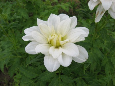 f:id:miyotya:20110625115343j:image f:id:miyotya:20110625115343j:image