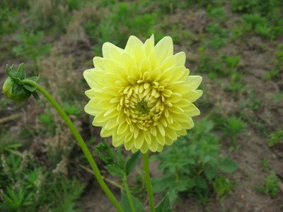 f:id:miyotya:20110625115506j:image f:id:miyotya:20110625115506j:image
