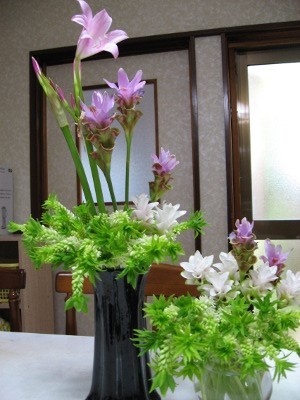 f:id:miyotya:20110709151617j:image