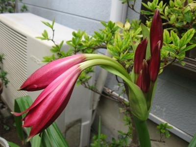 f:id:miyotya:20110721165300j:image
