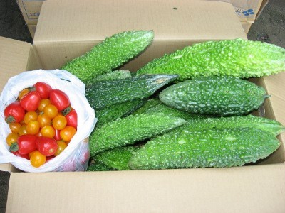 f:id:miyotya:20110801100621j:image f:id:miyotya:20110801100621j:image