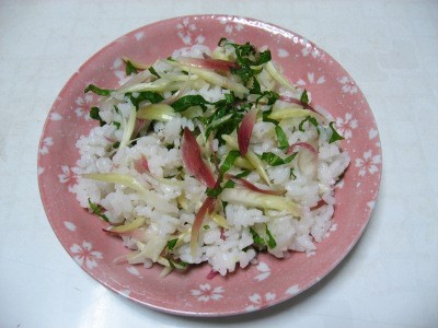 f:id:miyotya:20110819085926j:image
