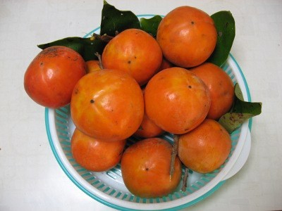 f:id:miyotya:20110915161129j:image f:id:miyotya:20110915161129j:image