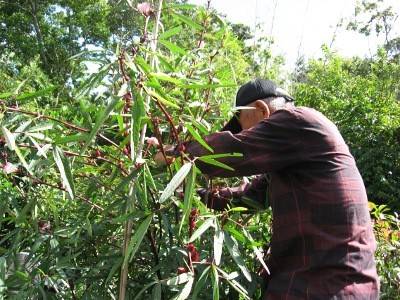 f:id:miyotya:20110922100532j:image f:id:miyotya:20110922100532j:image
