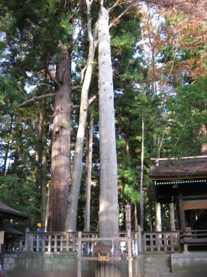 f:id:miyotya:20111110142457j:image f:id:miyotya:20111110142457j:image