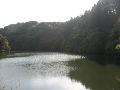 f:id:miyotya:20111113094703j:image