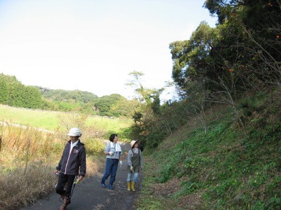 f:id:miyotya:20111113101456j:image