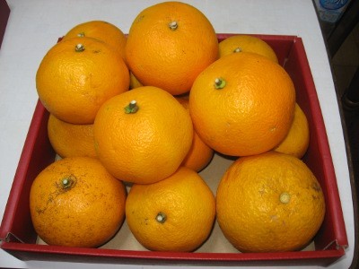 f:id:miyotya:20120302094758j:image