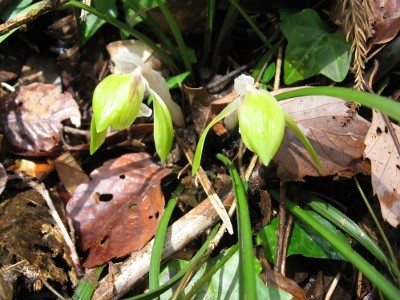 f:id:miyotya:20120311105600j:image f:id:miyotya:20120311105600j:image